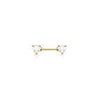 Piercing Téton BRIELLA en Acier et Zirconium