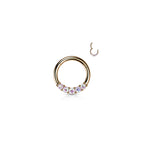 Piercing Oreille DAYANA en Acier et Zirconium