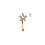 Piercing Arcade & Nombril KIARA en Acier et Zirconium