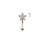 Piercing Arcade & Nombril KIARA en Acier et Zirconium