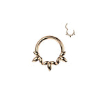 Piercing Anneau LOUISA en Acier et Zirconium