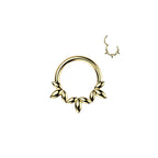 Piercing Anneau LOUISA en Acier et Zirconium