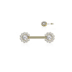 Piercing Téton NAKIA en Acier et Zirconium