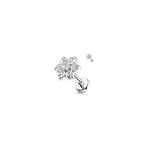 Piercing Labret ROSA en Titane et Zirconium