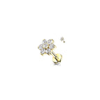 Piercing Labret ROSA en Titane et Zirconium