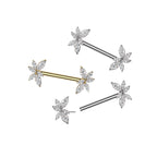 Piercing Téton VAYLA en Acier et Zirconium