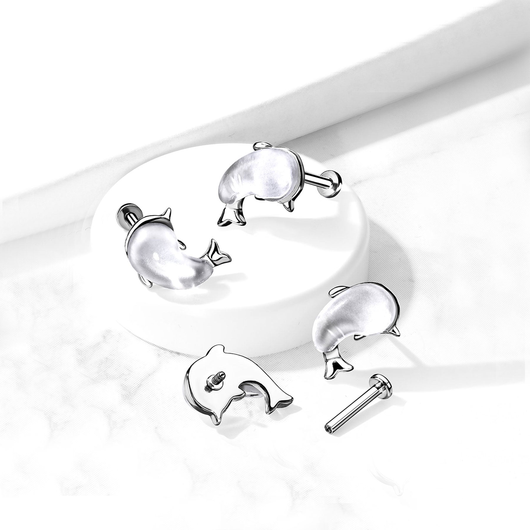 Piercing Labret Oreille WALES en Acier et Résine