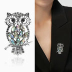 Broche WISDOM OWL en Acier et Strass
