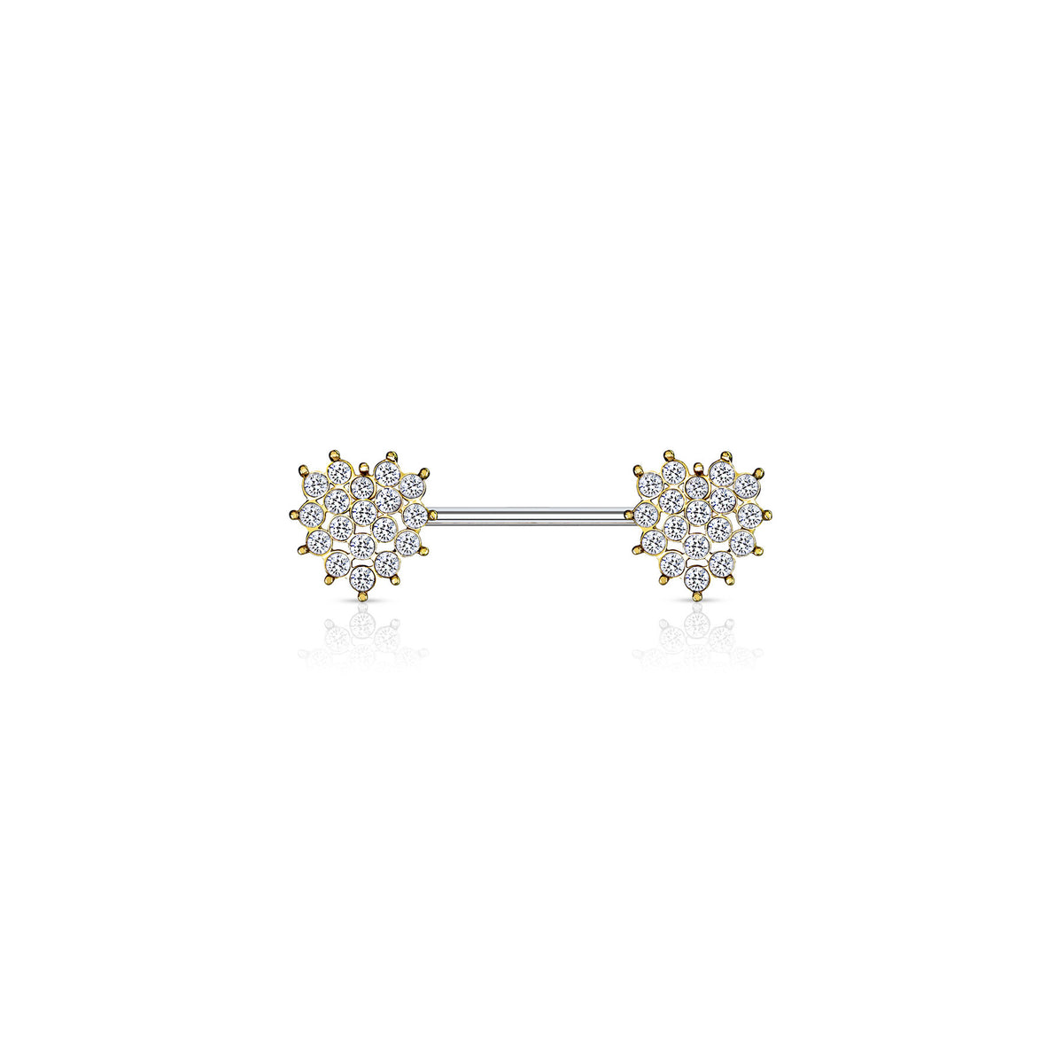 Piercing Téton ZANAYA en Acier et Zirconium