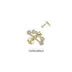 Piercing Labret ZODIAC en Acier et Zirconium