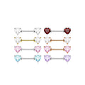 Piercing Téton BRIELLA en Acier et Zirconium