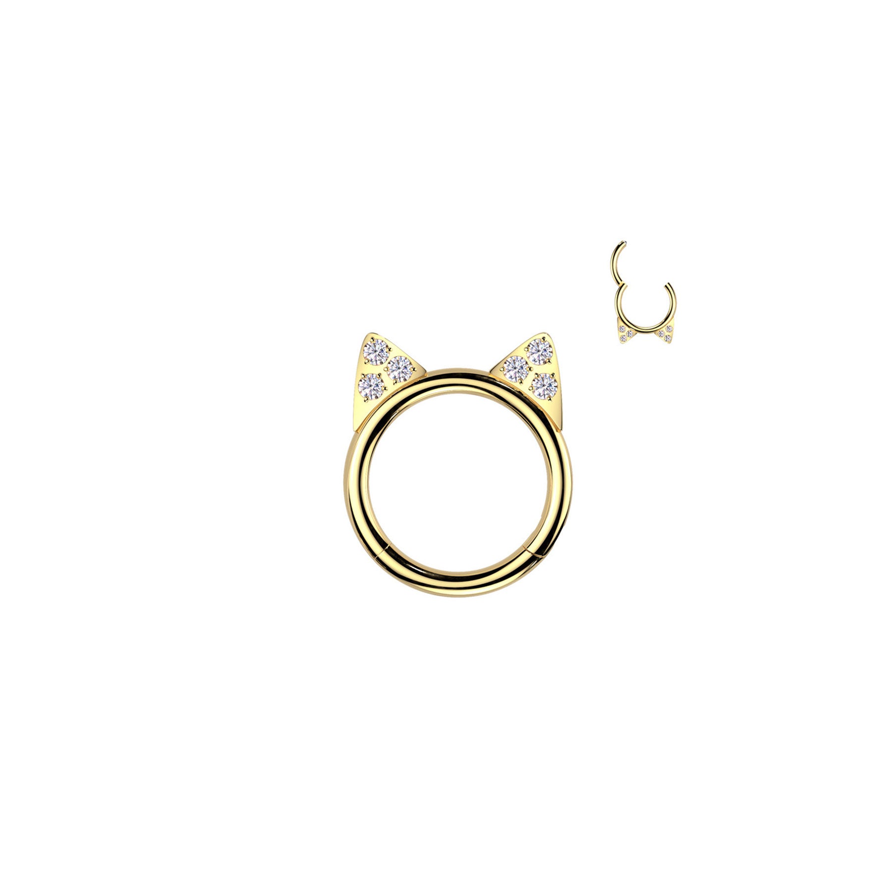 Piercing Anneau OTHA en Titane et Zirconium