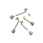 Piercing Christina OVEDA en Titane et Zirconium