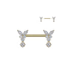 Piercing Téton SIENNA en Acier et Zirconium